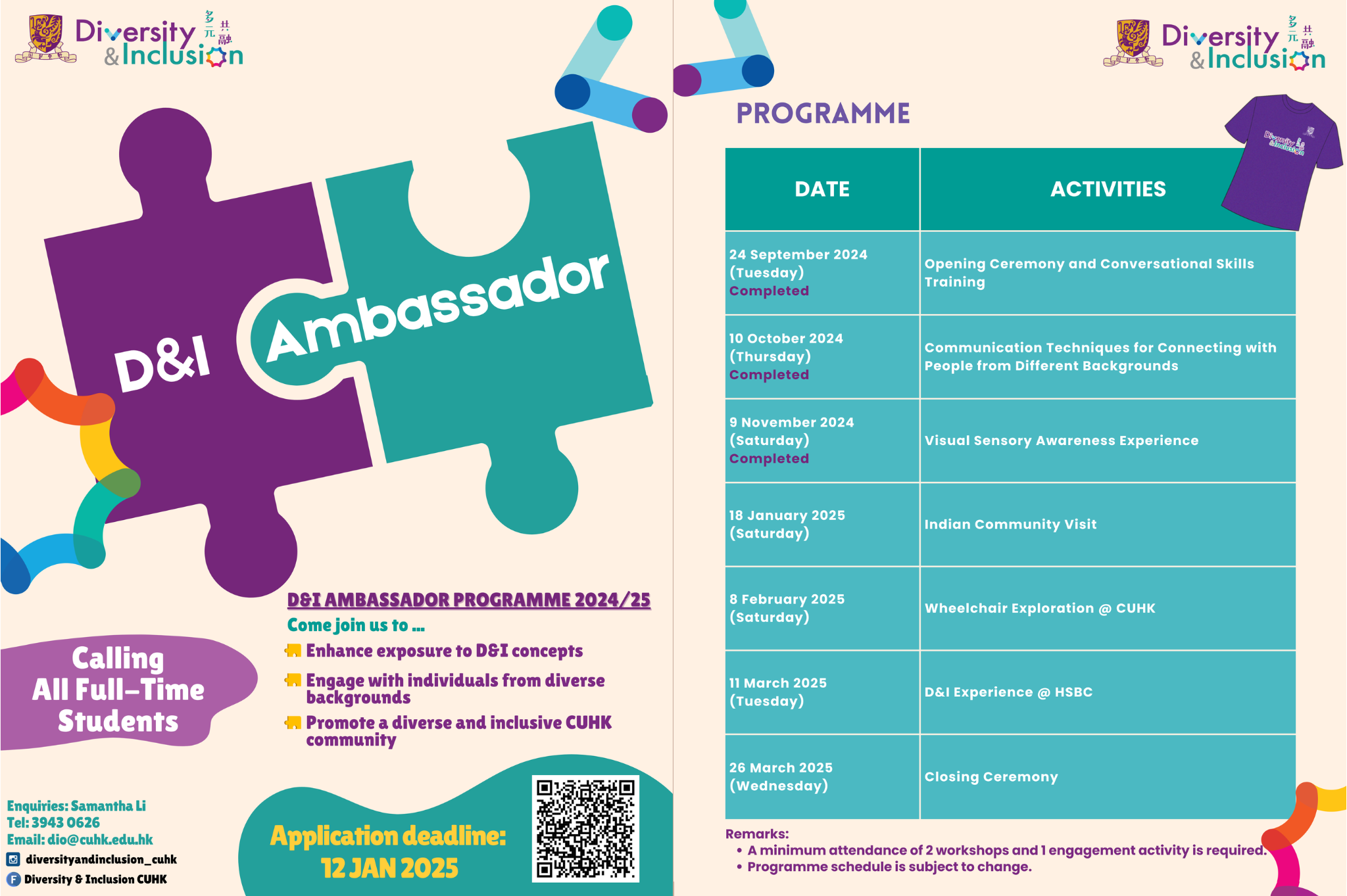 D&I Ambassador Programme 